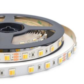 SMD5050 60LEDs CCT Tunable 2 in 1